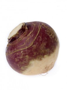 le-rutabaga